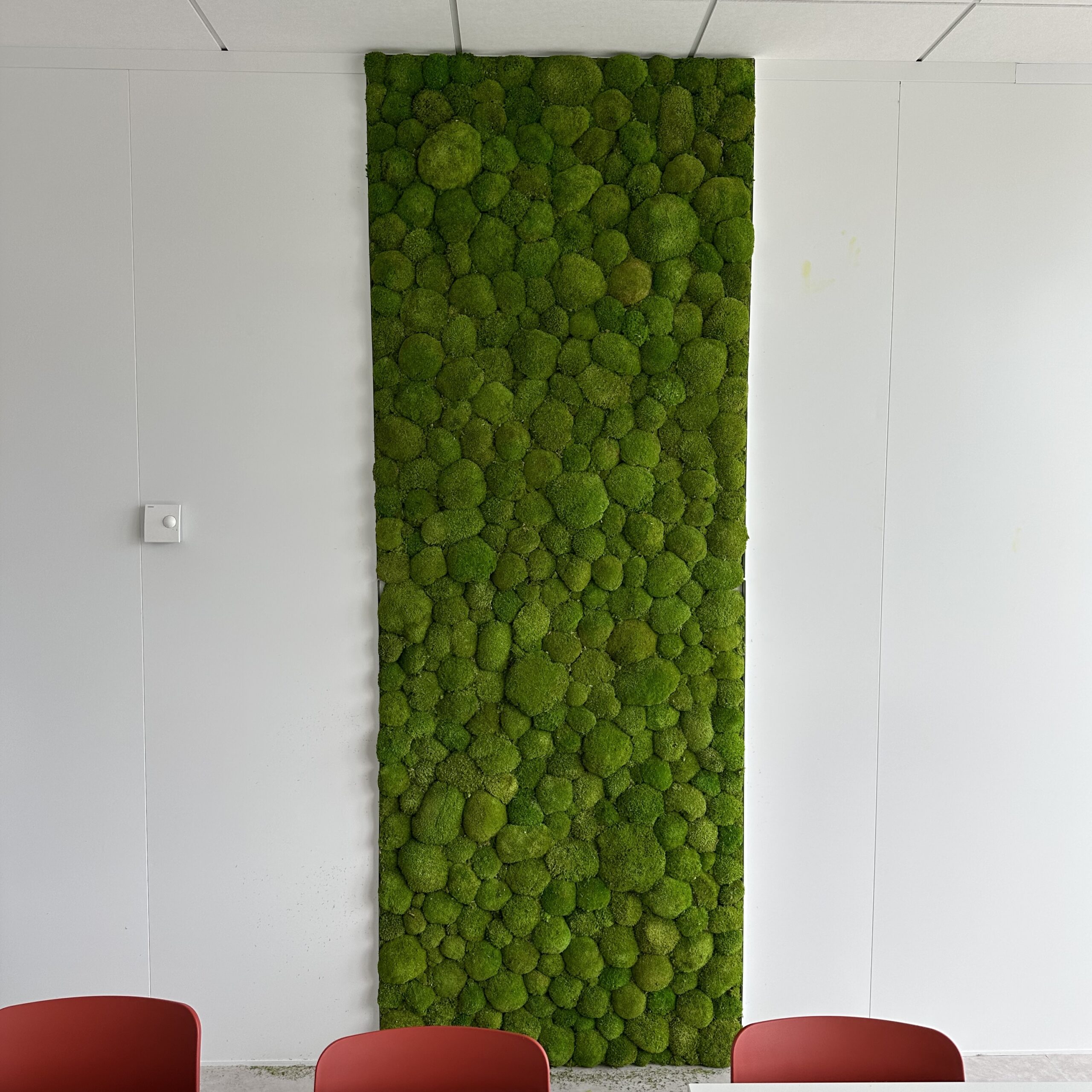 DECORATION-MUR VEGETAL-BAS RHIN