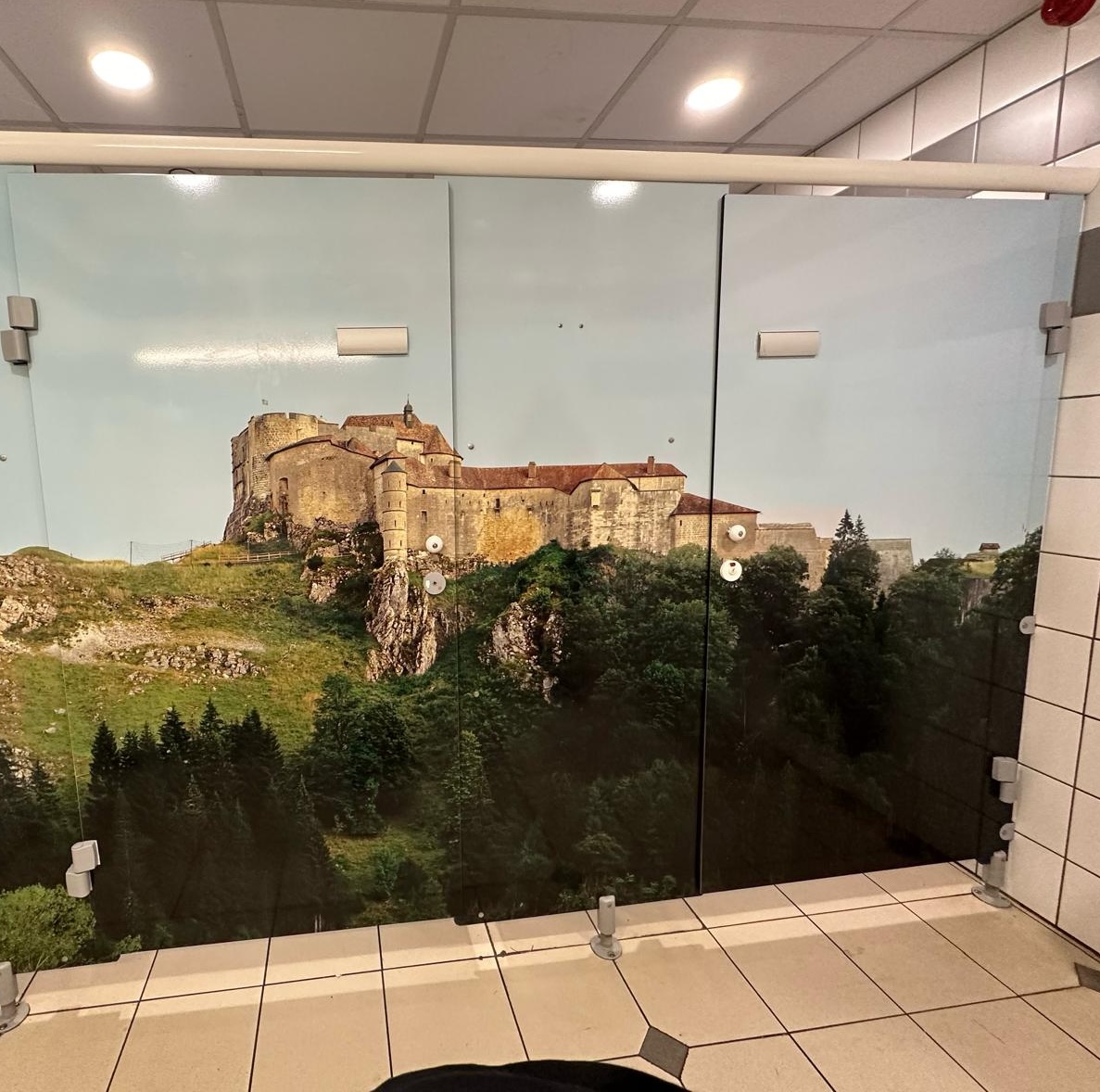 Habillage porte toilettes-SELESTAT